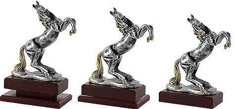 Trofeo Caballo a color. 