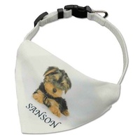 COLLAR PERSONALIZABLE PARA MASCOTA