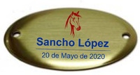Chapa Laton Oval con Volumen Taxidermia