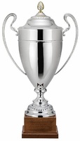 Copa Agave Asas Punteadas