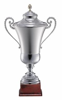 Copa Alisus Plateada Oval