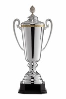 Copa Campsis Asas Alargadas