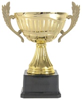 Copa Clásica Dorada Mundi