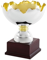Copa Génova Plateada