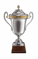 Copa Melia Asas Plateadas Cuerda
