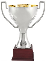 Copa Plateada Verona