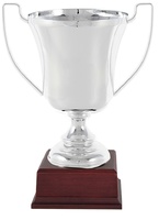 Copa Plateada calidad estilo clasico