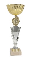 Copa Plateada y Cobre Girona