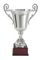Copa de Cristal y Asas