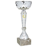 Copa economica plateada laurel dorado