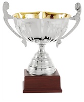 Copa economica plateada. Modelo atzitzintla