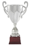 Copa economica plateada. Modelo loxicha
