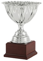 Copa economica promocion plateada. Modelo ajalpan