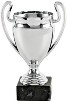 Copa economica promocion plateada. Modelo trujano