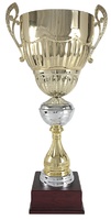Copa plateada Dorada de Calidad osor