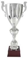 Copa plateada brilo slomo