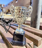 Copa plateada de acrílico