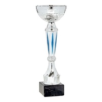 Copa plateada y azul clásica mister