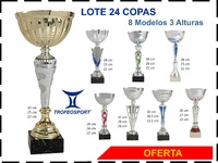 Lote de 24 copas Promoción Navares