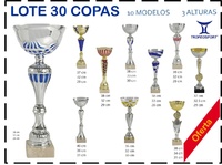 Lote de 30 copas Promoción Alameda
