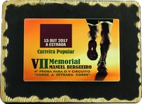 Placa Trofeo de Madera rectangular personalizable a Color