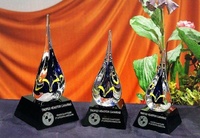 Trofeo Acipawa Gota Agua