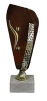 Trofeo Artesanal Amazonas para Futbol