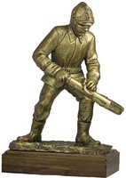 Trofeo Bélico Bronce