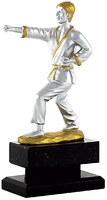 Trofeo Bustelo de karate