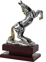 Trofeo Caballo a color.