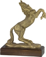 Trofeo Carora Caballos