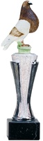 Trofeo Casanay Aves
