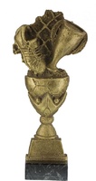 Trofeo Catout Futbol