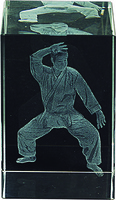 Trofeo Cubo Karate