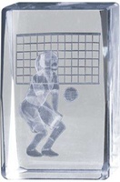 Trofeo Cubo de Voley Femenino Lozoya