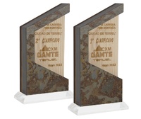 Trofeo Especial piedra y madera