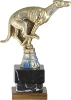Trofeo Galgo Corriendo 3159