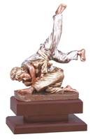 Trofeo Judo en resina.