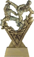 Trofeo Karate Uve