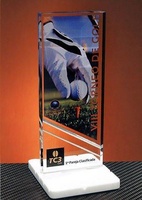 Trofeo Metacrilato Gisiga Peana Blanca