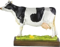 Trofeo Mucuchies Toros