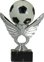 Trofeo Never Futbol