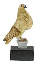 Trofeo Playon Aves
