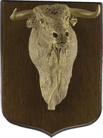 Trofeo Rangel Toros