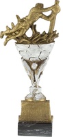 Trofeo Rapain Futbol