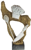 Trofeo Rena Cocina