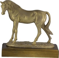 Trofeo Sarar Caballos