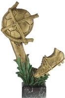 Trofeo Tambar Futbol