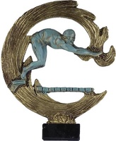 Trofeo Teid Natación