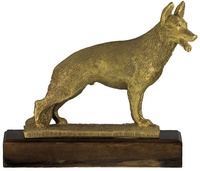 Trofeo Teques para Perros